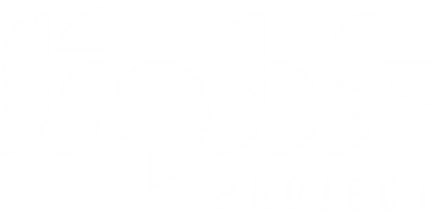 light-project-logo-white.png